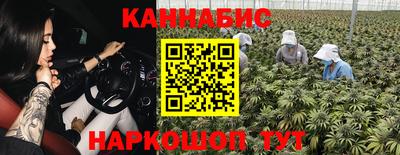 ешки Кингисепп