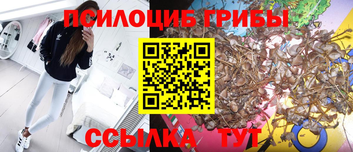 Псилоцибиновые грибы GOLDEN TEACHER Канск